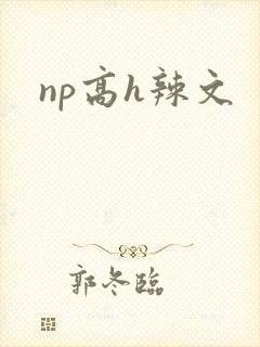 np高h辣文