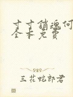 寸寸销魂何生祥全本免费