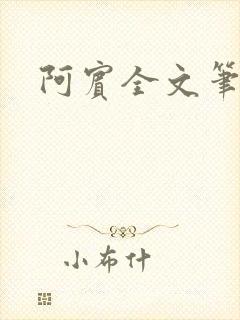 阿宾全文笔趣阁