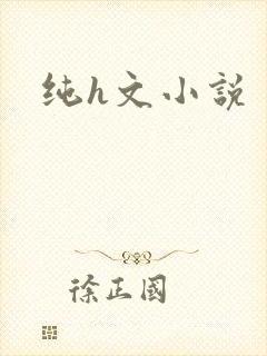 纯h文小说