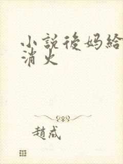 小说后妈给我消消火