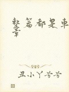 整篇都是车的文章