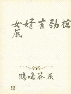 女婿有劲枪枪到底