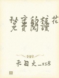 秘密的校花小说免费阅读