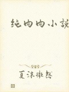 纯肉肉小说