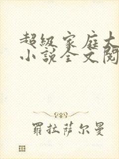 超级家庭大杂烩小说全文阅读