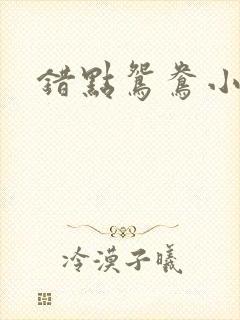 错点鸳鸯小说