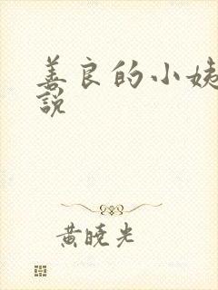 善良的小姨子小说