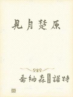 见月楚原