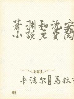 萧渊和沈安安的小说免费阅读