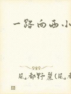 一路向西小说