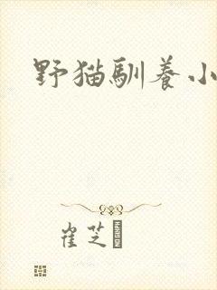 野猫驯养小说