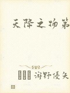 天降之物第一季