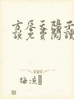 方辰天阳子的小说免费阅读