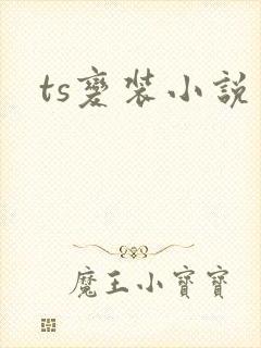ts变装小说