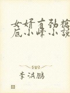 女婿有劲枪枪到底小峰小说