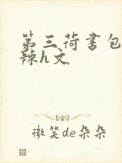 第三荷书包网高辣h文