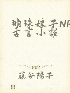 明珠娘子NPC古言小说