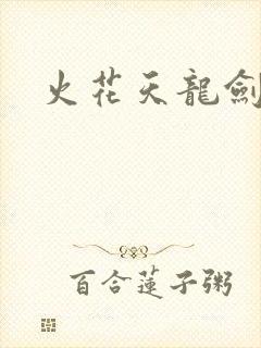 火花天龙剑