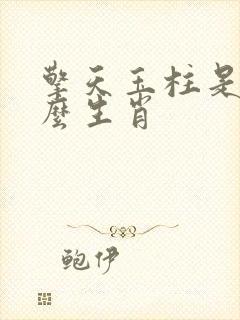 擎天玉柱是指什么生肖