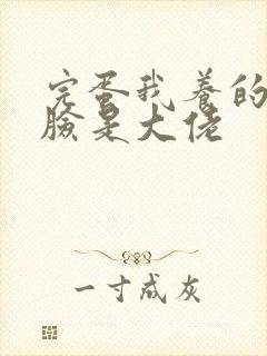 完蛋我养的小白脸是大佬