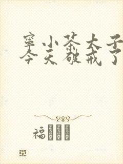 宁小茶太子殿下今天破戒了吗免费阅读
