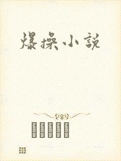 爆操小说