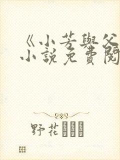 《小芳与父亲》小说免费阅读