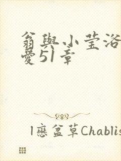 翁与小莹浴室欢爱51章