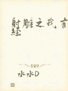 射雕之我有太玄经