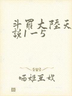斗罗大陆天狂传说1一5