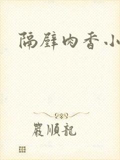 隔壁肉香小说