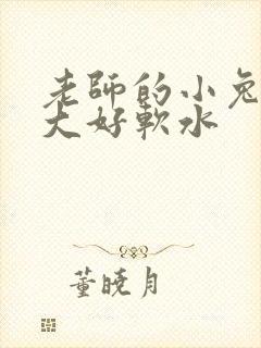 老师的小兔子好大好软水