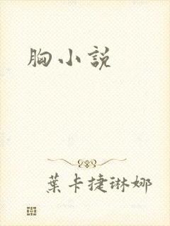 胸小说
