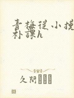 青梅从小摸到大补课h
