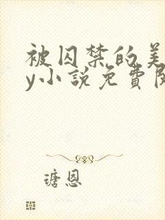 被囚禁的美人by小说免费阅读