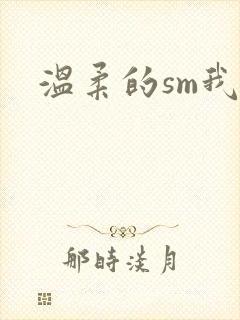 温柔的sm我