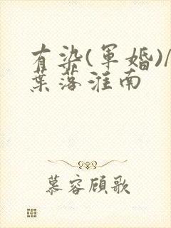 有染(军婚)/叶落淮南