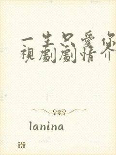 一生只爱你 电视剧剧情介绍