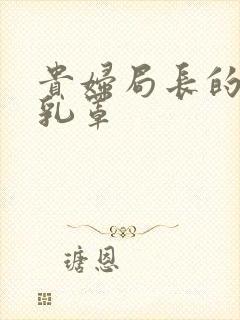 贵妇局长的蕾丝乳罩