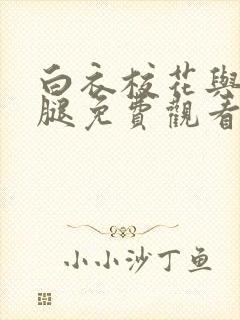 白衣校花与大长腿免费观看电视剧