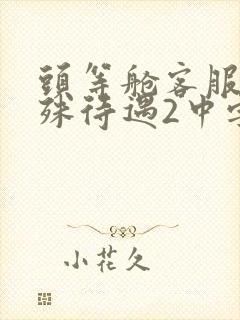 头等舱客服的特殊待遇2中字