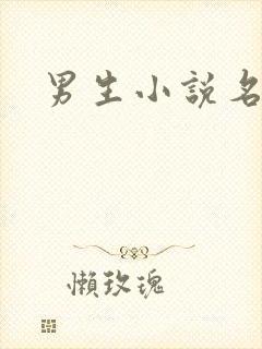 男生小说名字