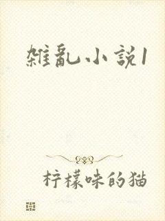 杂乱小说1
