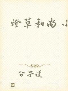 灯草和尚 小说