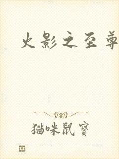 火影之至尊邪帝