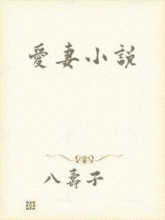 爱妻小说
