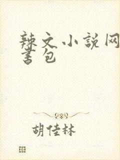 辣文小说网第二书包