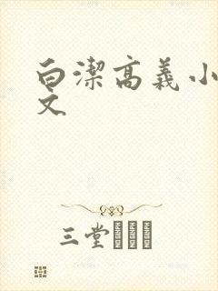 白洁高义小说全文