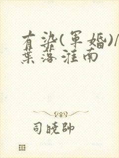 有染(军婚)/叶落淮南